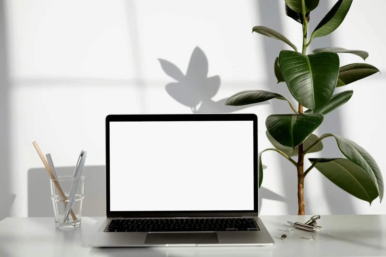 Chic Cocoon's new website on screen